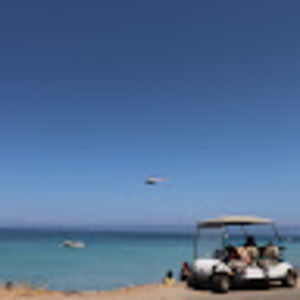 Meet your Posher, Gavin